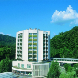 Hotel Bradet ****