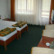 maramures - Hotel Paltinis 3*
