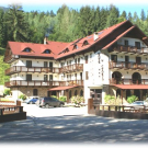 maramures - Hotel Victoria***