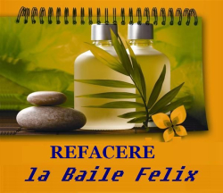 Refacere <br>la Baile Felix